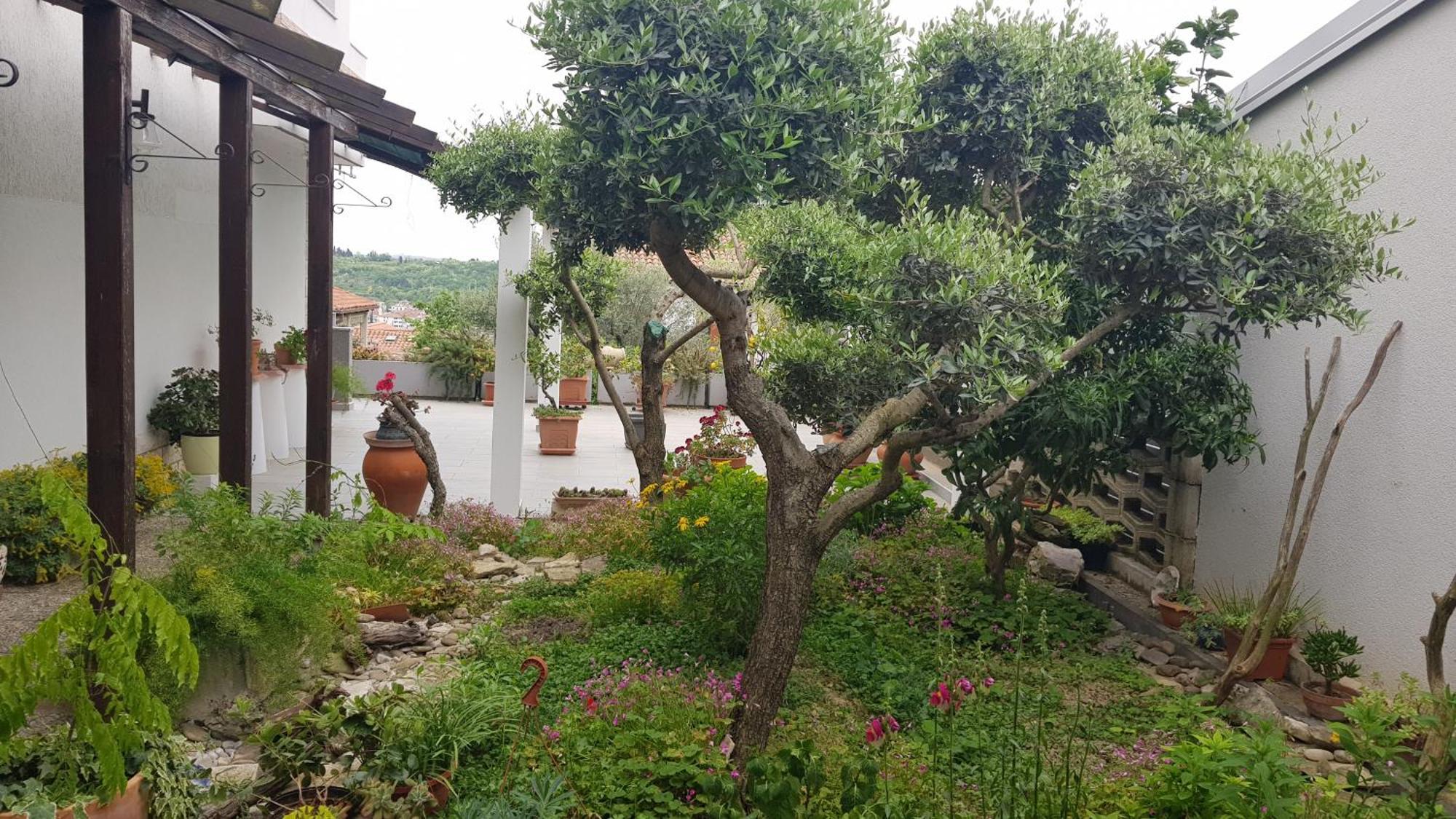 Appartement Tramontana à Lucija Extérieur photo