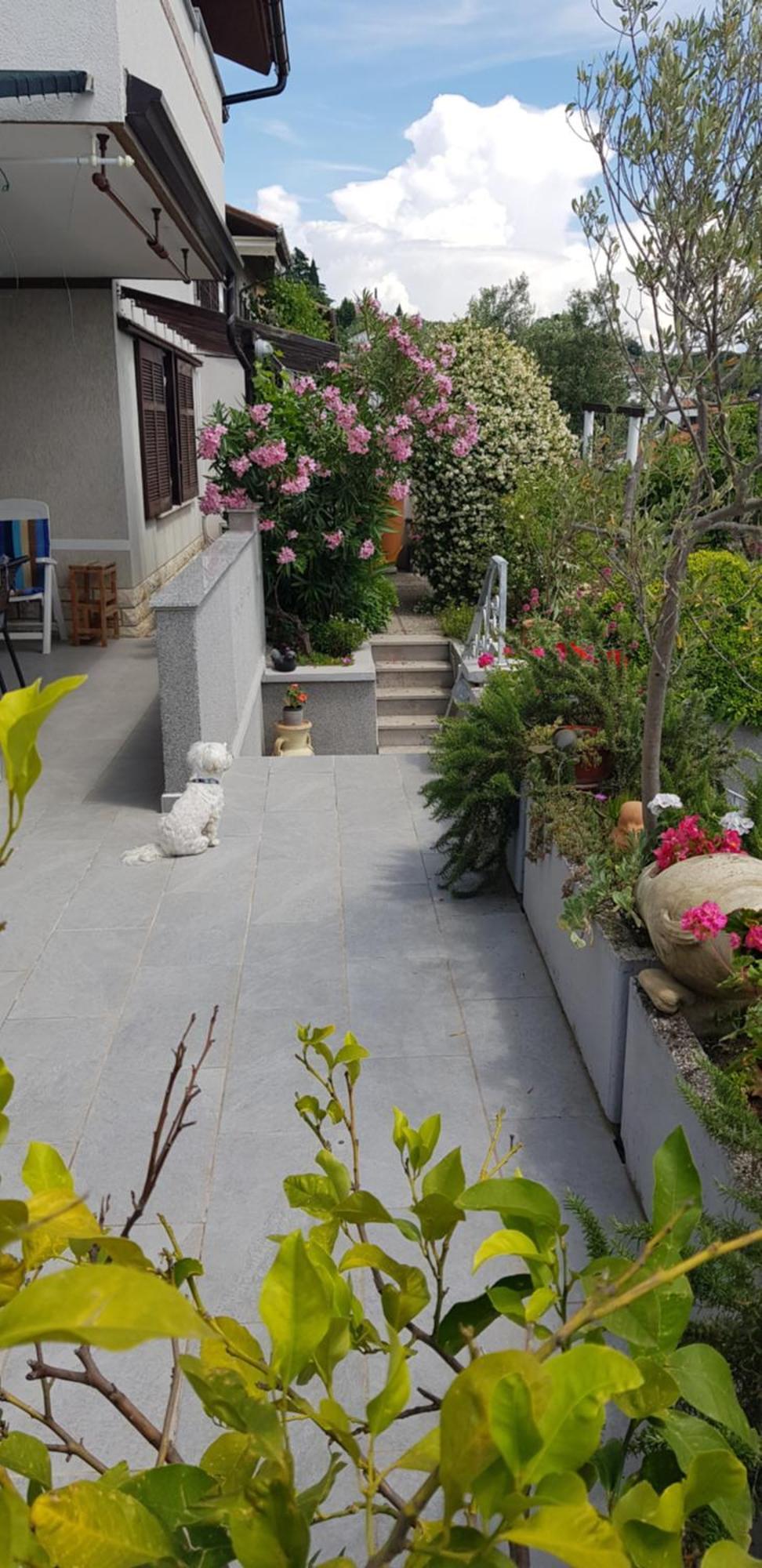 Appartement Tramontana à Lucija Extérieur photo
