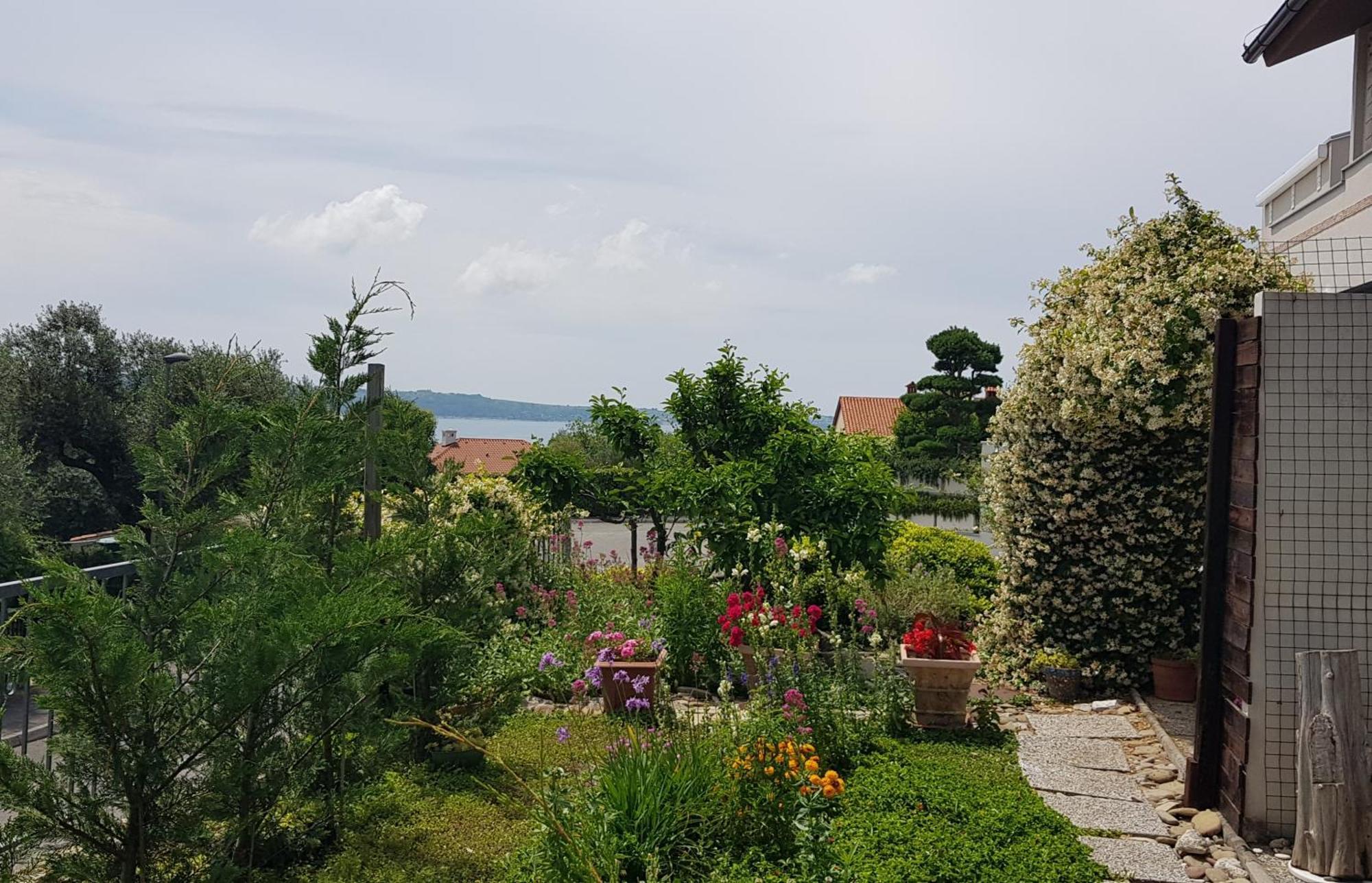 Appartement Tramontana à Lucija Extérieur photo
